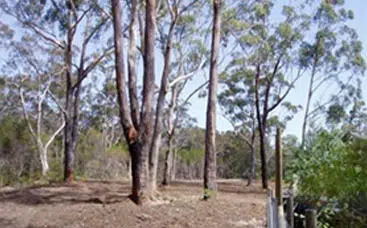 2 Asset Protection Zones — Bushfire Services In Port Stephens, NSW