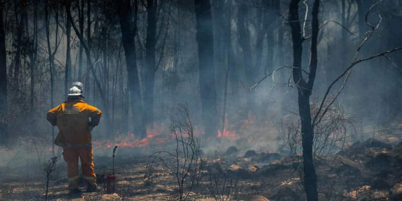 Rural Firefighter — Bushfire Services In Newcastle, NSW