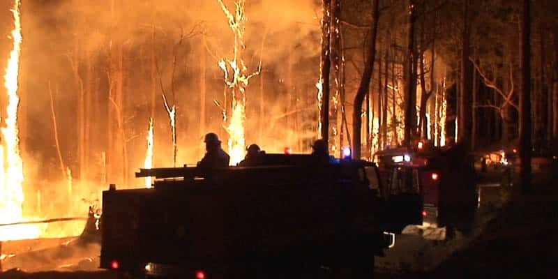 Wildfire 1 — Bushfire Services In Newcastle, NSW