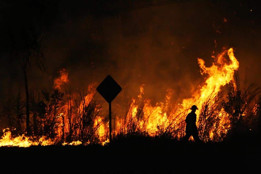 Firefighter Tending To Bushfire
