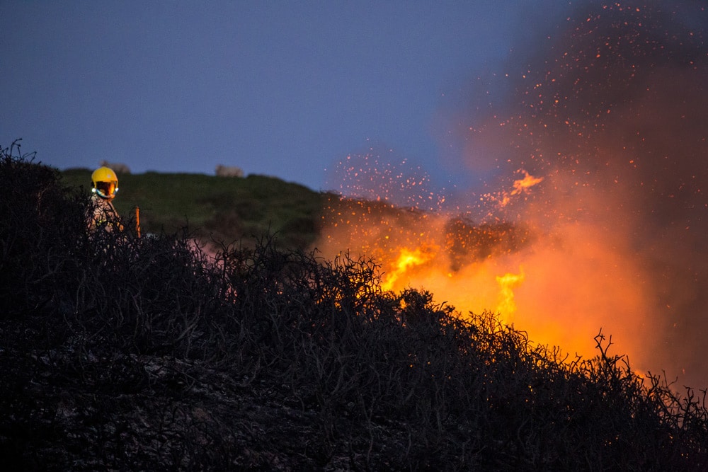 Understanding The Importance Of A Bushfire Assessment Report