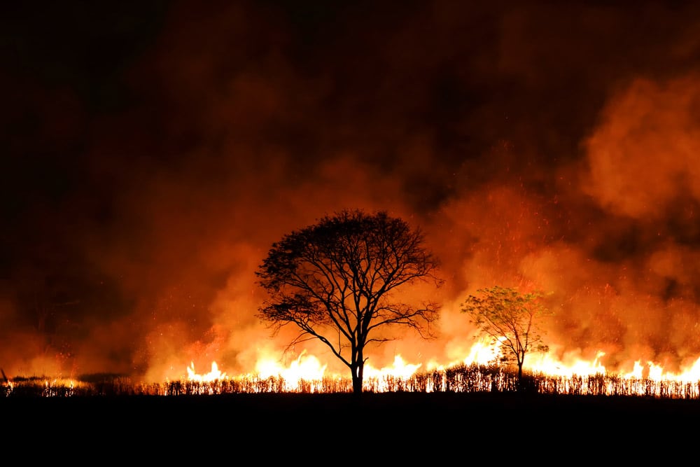 Bushfire And Orange Smoke At Night