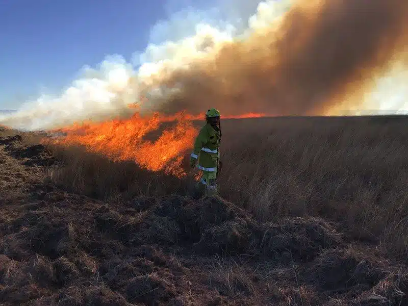 Man in Uniform Near Bushfire