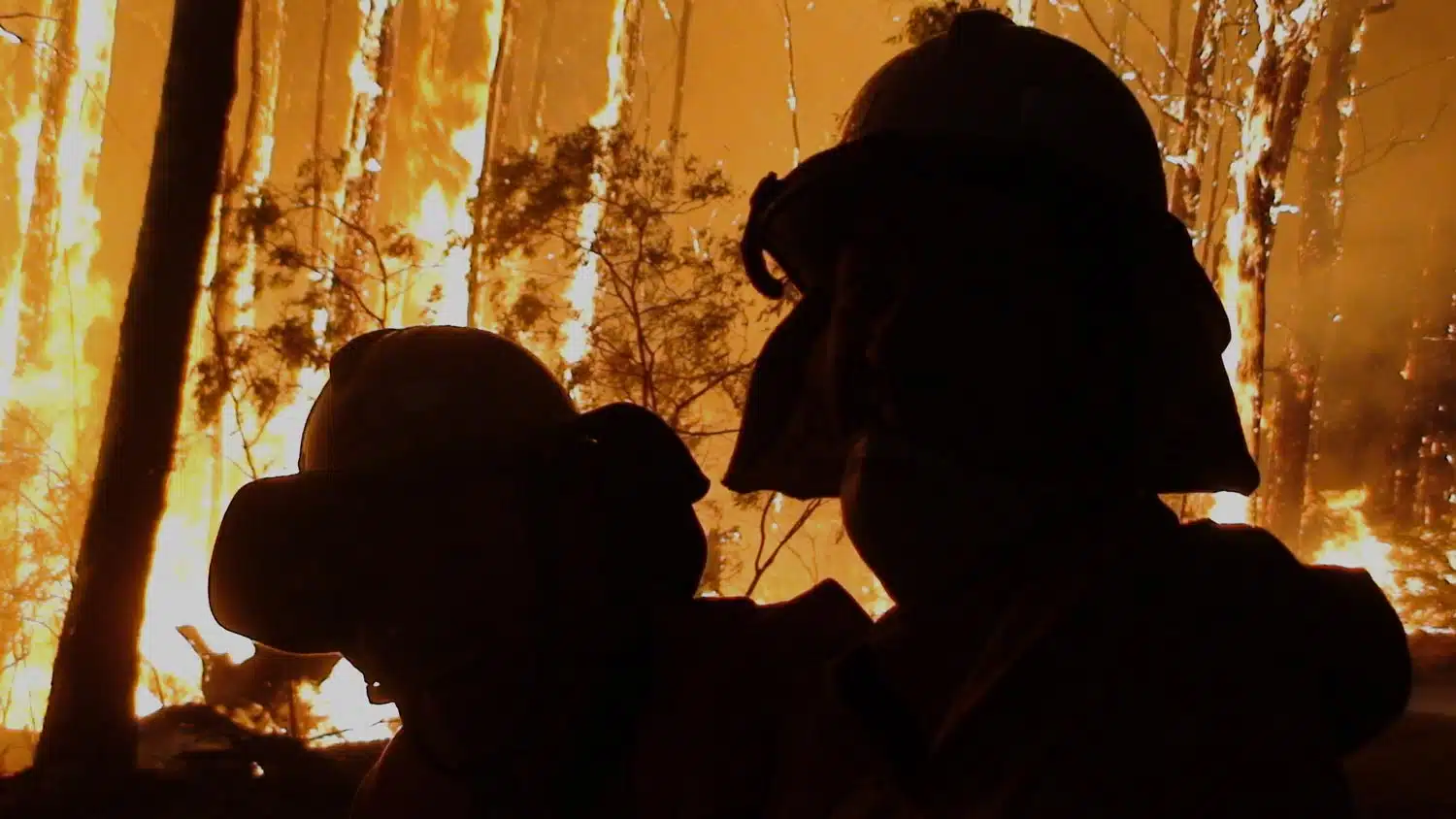 Man Watching The Bush Fire Up Close