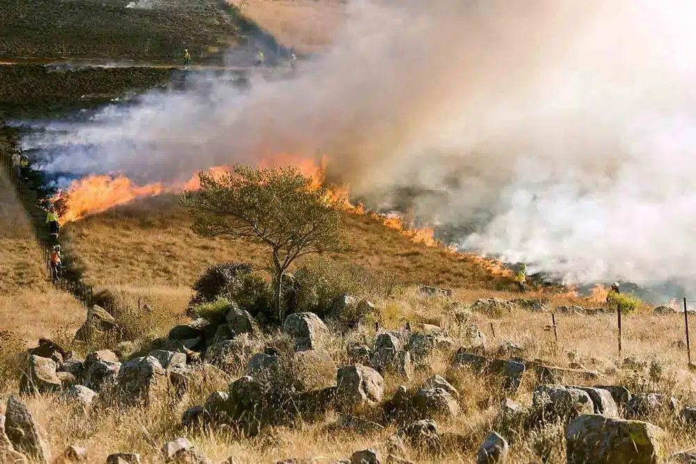Bushfire Incident