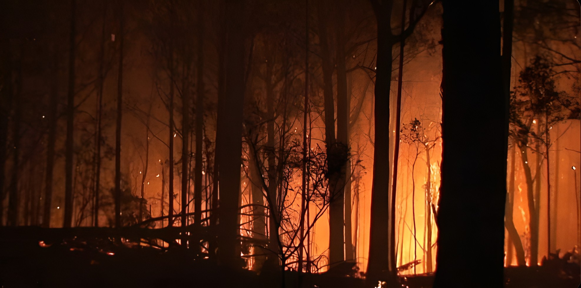 Bushfire Assessment Report Newcastle Forest Fire Risk Evaluation