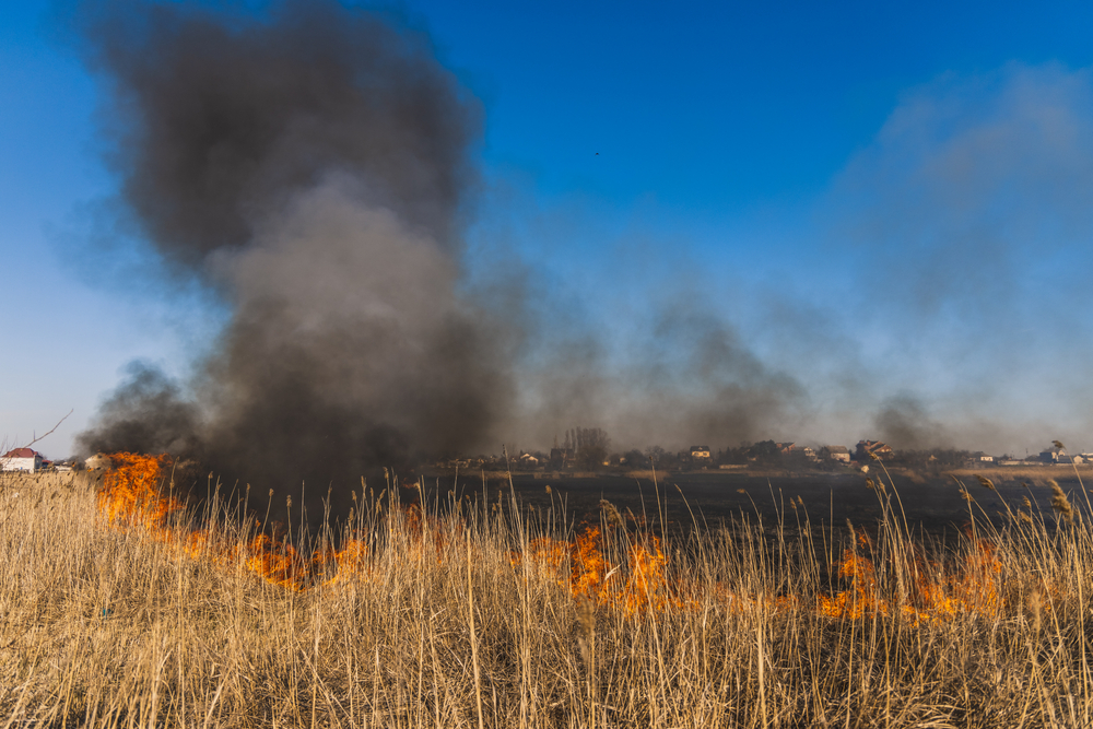 Fire Spreading Through Bushes in Newcastle