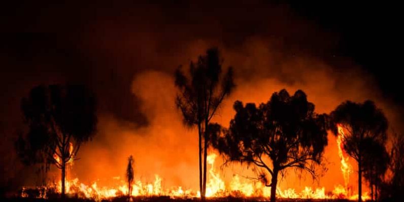 Bushfire — Bushfire Services In Newcastle, NSW