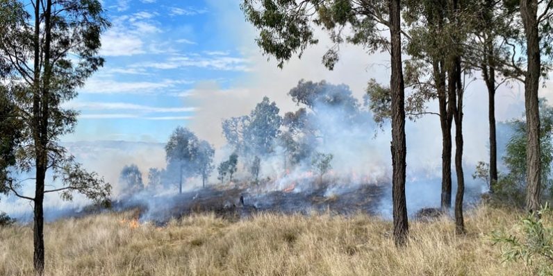 Fire In The Forest — Bushfire Services In Newcastle, NSW